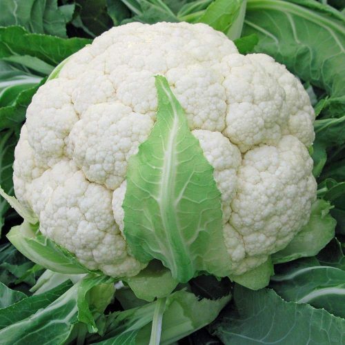 Culiflower