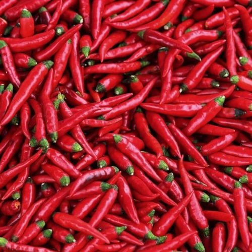 Red Chilli
