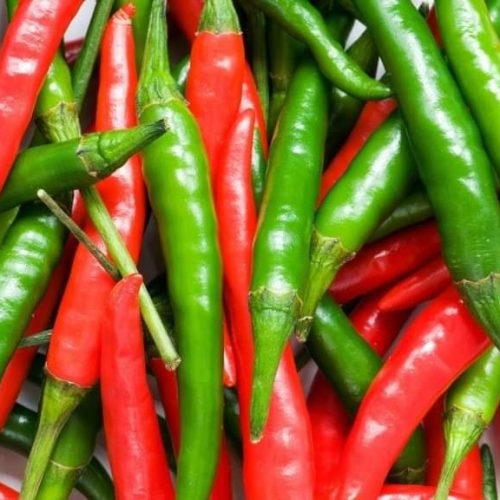 red and Green Chilli