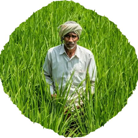farmer farmer
